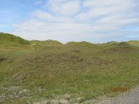 Nordsee 2017 (225)  Spaziergang durch die Dnenlandschaft von Norderney